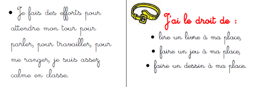 Ceintures de comportement