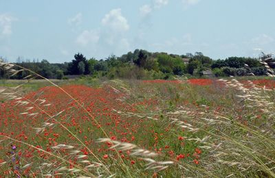 ☻ Semaine à l'île de Ré (2012) : Aller-retour à Ré