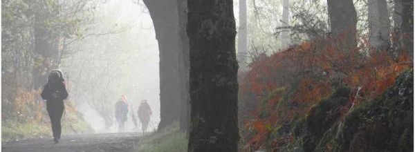 (J25) O Pedrouzo-Arca / Santiago 29 avril 2012 (1)