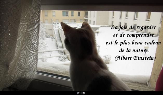 La joie de regarder...