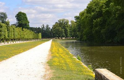 Rambouillet : Balade au bord de l'eau