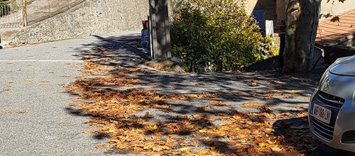 Novembre est bientôt fini