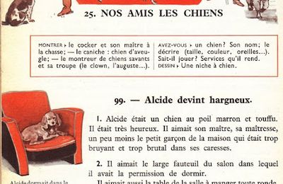 Dumas CE1 S25 Nos amis les chiens