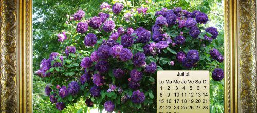 CALENDRIER DE JUILLET DE MARIA