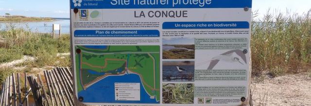La Conque..