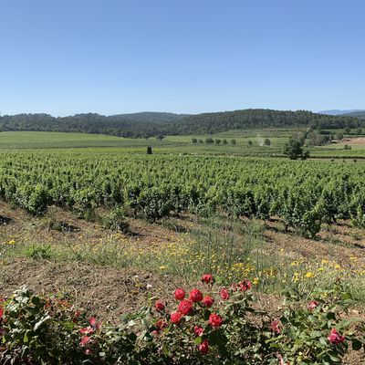 Lac Ste Croix situé entre le Var et les Alpes-de-Haute-Provence