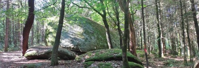 Les Landes de Lanvaux :  Le mastodonte - les chaos