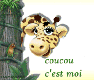 Couture du Moment 
