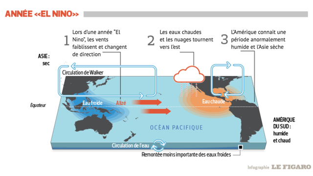 On entend beaucoup parler d'El Nino. Savez vous ce que c'est ?