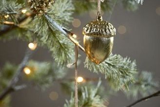 Tino nous dit : C'est la belle nuit de Noël ... 