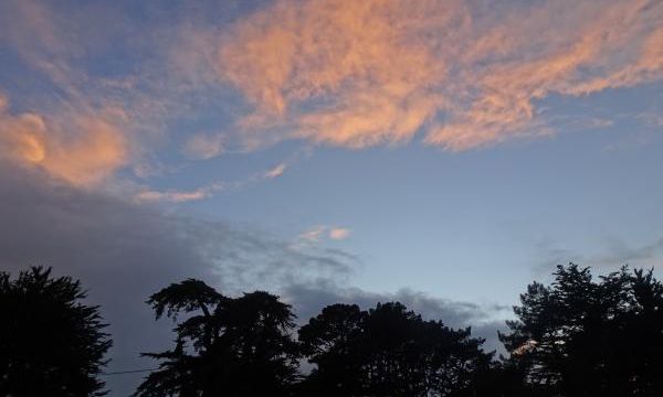 Après la pluie
