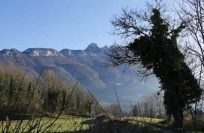 Le 21 janvier 2024 : les lacs de Chevelu 2