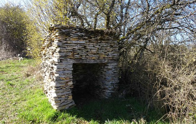 "Tous aux jonquilles" - Mercredi 05 mars 2025