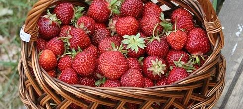 La pleine lune des fraises...