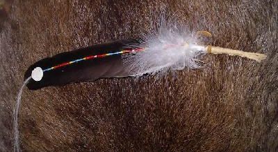 Plume .............................