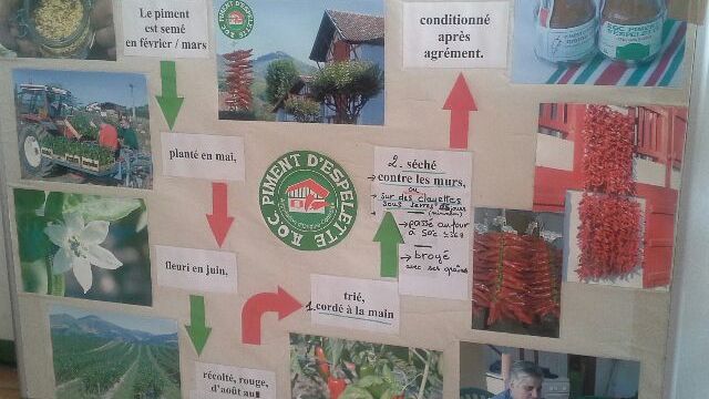 Le piment d'Espelette