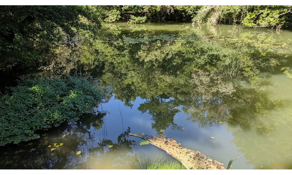 Défi reflets N°3 / 2025