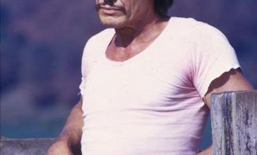 CHARLES BRONSON BOX OFFICE