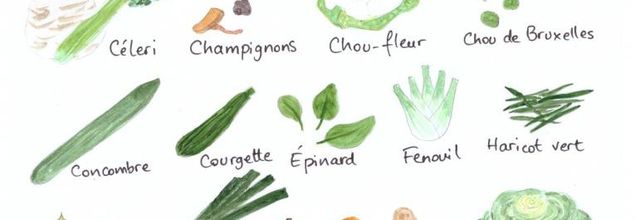 Fruits et légumes de Septembre