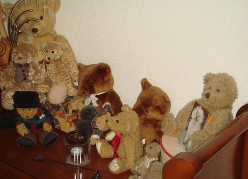 Mes ours