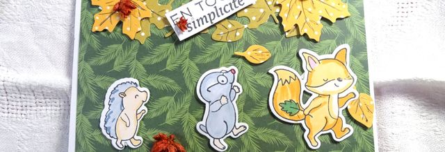 Défi bébés animaux en balade .