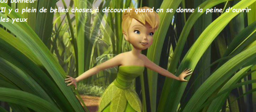 Bon mardi à tous 