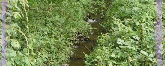 Ruisseaux éphémères