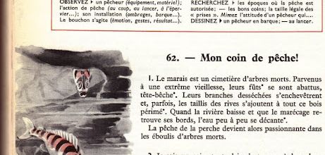 Dumas CM-CS S22 La pêche