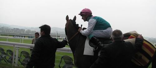 Champ de course