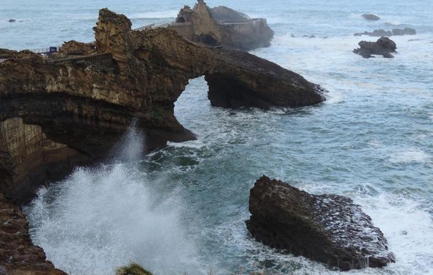 vagues à Biarritz