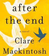Download ebooks pdf gratis After the End