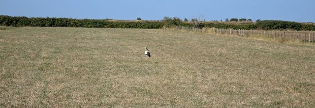 Port Maubert - dept 17