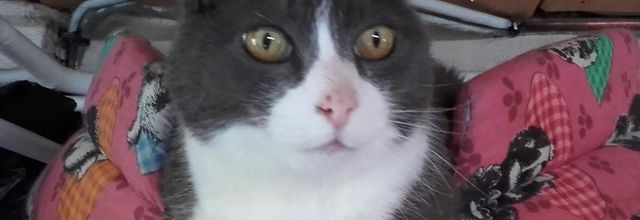  chacun sa fête 