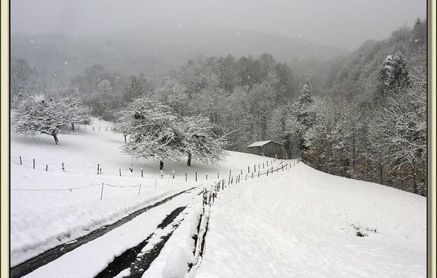 Paysages des Pyrénées (Année 2010)