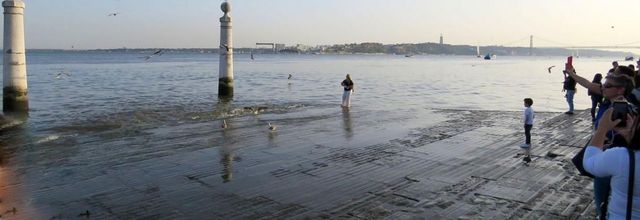 des goélands à Lisboa ...