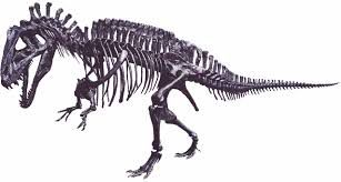 Pourquoi les dinosaures ne sont ils plus avec nous ?