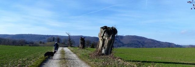 La Grange Dimière (2).