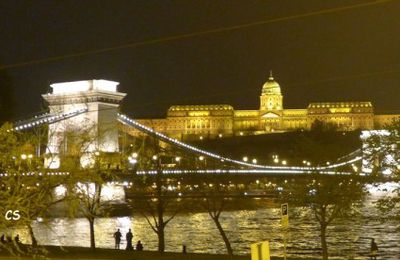 L'opération "Donne ton manteau" à Budapest...