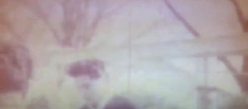 Elvis in Memphis. 1961