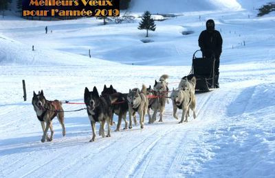 Voeux 2019