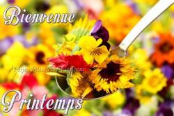 Défi du Printemps !
