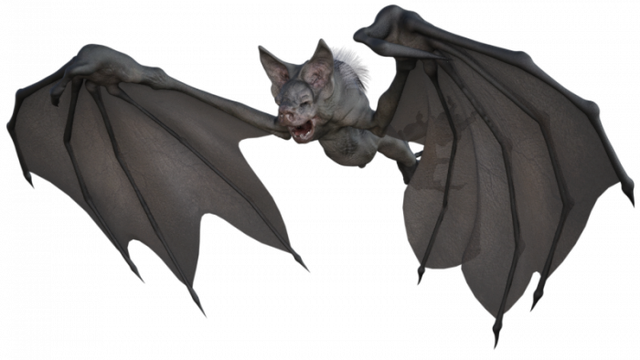 Tube chauve-souris (render-image)