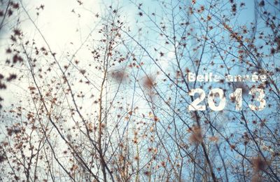Belle année 2013
