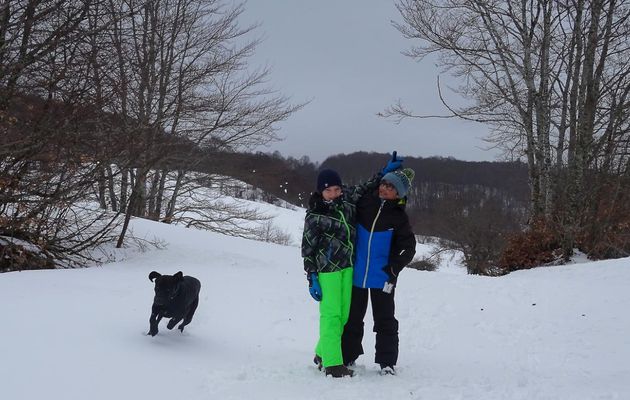 Le 1er mars: deux ados et un chien dans le Grand Nord