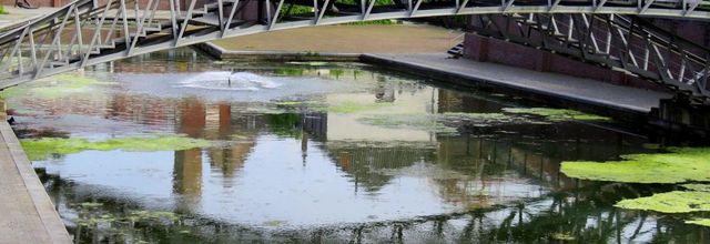 Défi reflets  N°1 / 2024