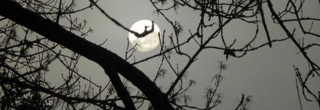 Lune ou soleil?