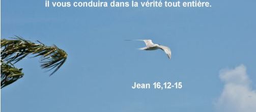 HOMÉLIE de la Fête de la Sainte Trinité - 15 juin 2025