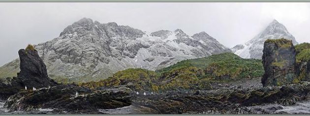 Ambiance feutrée : montagnes embrumées et saupoudrées de neige fraîche - Cooper Bay - Géorgie du Sud