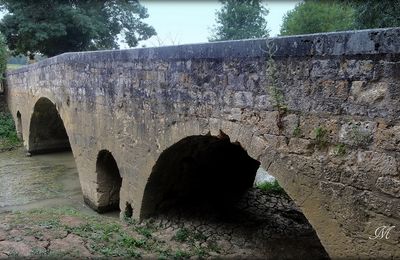 Saint Jacques 2015, de Larressingle à Lamothe: 19Km #1