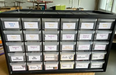 Organisation nouveau MER 4H